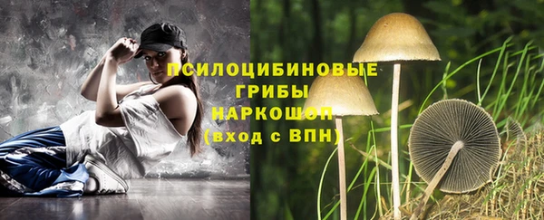 спайс Елабуга