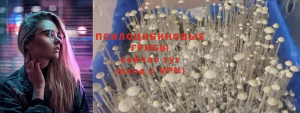 mdma Ельня